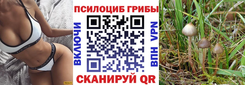 Псилоцибиновые грибы Psilocybine cubensis  что такое наркотик  Иркутск 